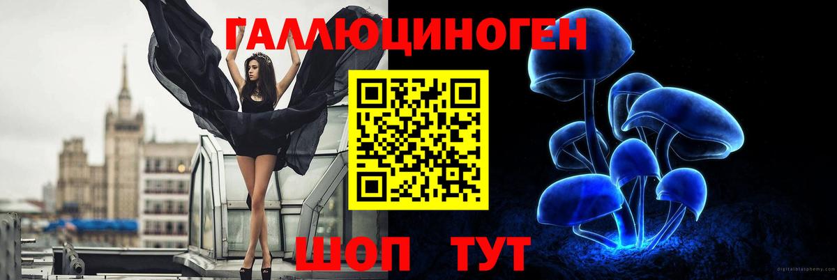 Псилоцибиновые грибы мицелий Корсаков